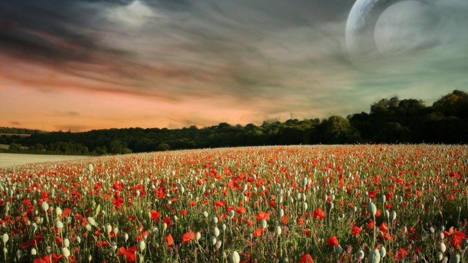 深入推进外汇管理改革